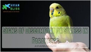 signs of discomfort or stress in parakeets