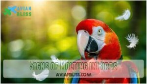 signs of molting in birds