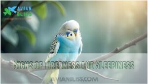 signs of tiredness and sleepiness signs of tiredness and sleepiness