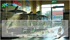 similar experiences of other bird owners