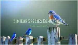 similar species comparison