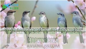 similar species to the northern mockingbird