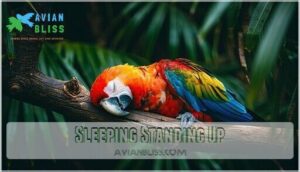 sleeping standing up