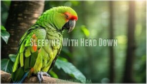 sleeping with head down