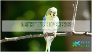 slight tail movements