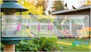 small birds in california