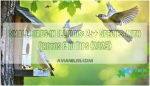 small birds in illinois