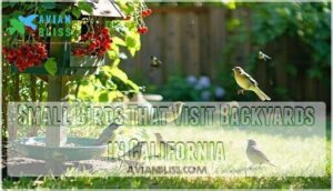 small birds that visit backyards in california