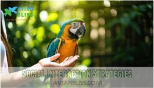 social interaction strategies