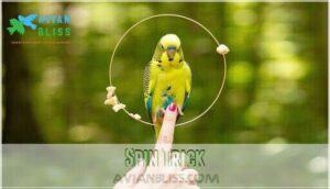 spin trick spin trick