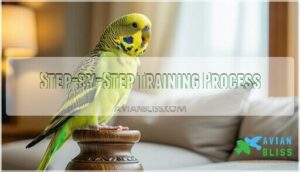 step-by-step training process