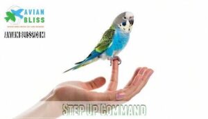 step up command step up command