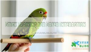 stick training for safer interaction