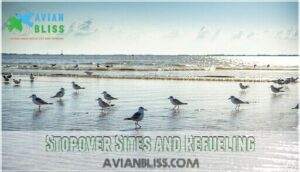 stopover sites and refueling stopover sites and refueling