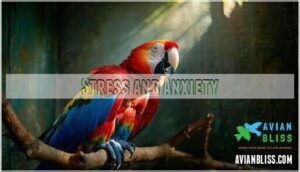 stress and anxiety stress and anxiety
