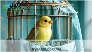 stress and fright