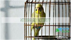 stress or anxiety stress or anxiety