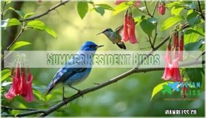 summer resident birds