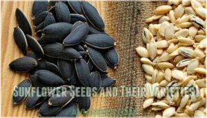 sunflower seeds and their varieties