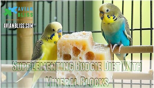 Picture of Do Budgies Need a Mineral Block? Essential Health Benefits Explained