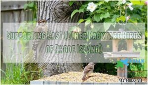 supporting cast (other backyard birds of rhode island)
