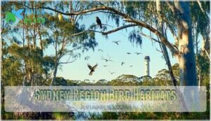 sydney region bird habitats