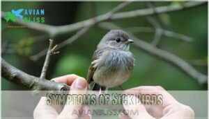 symptoms of sick birds