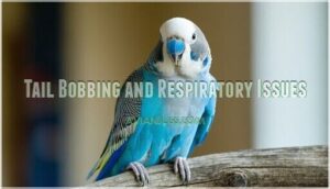 tail bobbing and respiratory issues tail bobbing and respiratory issues