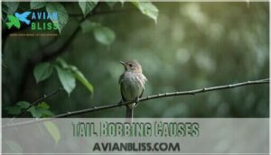 tail bobbing causes