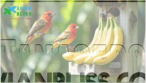 tanagers
