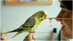 target training target training