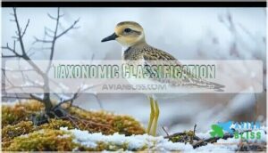 taxonomic classification
