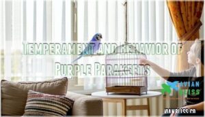 temperament and behavior of purple parakeets