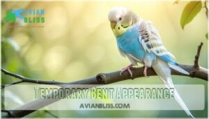 temporary bent appearance temporary bent appearance