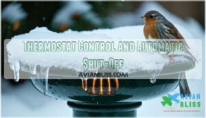 thermostat control and automatic shut-off