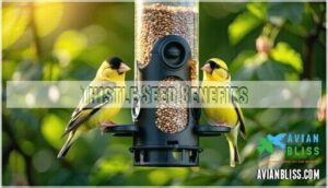 thistle seed benefits thistle seed benefits