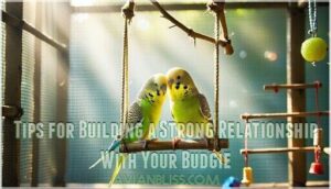 tips for building a strong relationship with your budgie