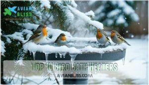 top 10 bird bath heaters