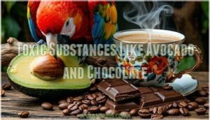 toxic substances like avocado and chocolate
