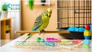 train a parakeet effectively train a parakeet effectively