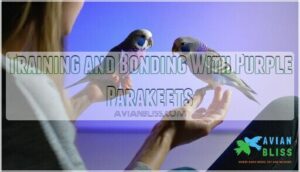 training and bonding with purple parakeets