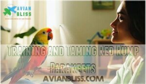 training and taming red rump parakeets