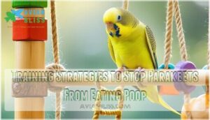 training strategies to stop parakeets from eating poop