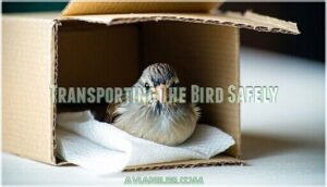 transporting the bird safely