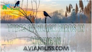 types of black birds in michigan
