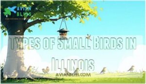 types of small birds in illinois