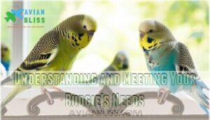 understanding and meeting your budgie's needs