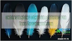 understanding contour feathers for taxa differentiation