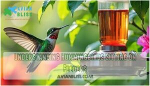 understanding hummingbirds sitting on feeders understanding hummingbirds sitting on feeders