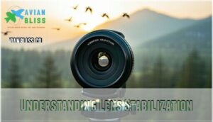 understanding lens stabilization